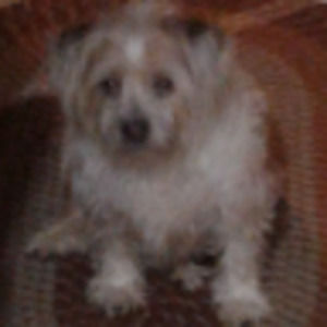 Meet your Posher, Rick